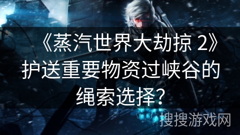 《蒸汽世界大劫掠 2》护送重要物资过峡谷的绳索选择？