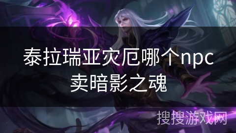 泰拉瑞亚灾厄哪个npc卖暗影之魂