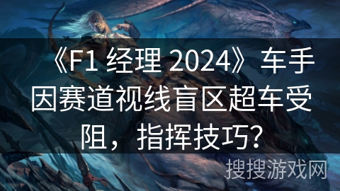 《F1 经理 2024》车手因赛道视线盲区超车受阻，指挥技巧？