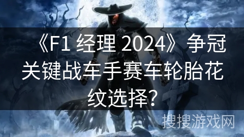 《F1 经理 2024》争冠关键战车手赛车轮胎花纹选择？