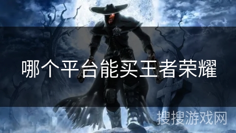 哪个平台能买王者荣耀