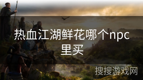 热血江湖鲜花哪个npc里买