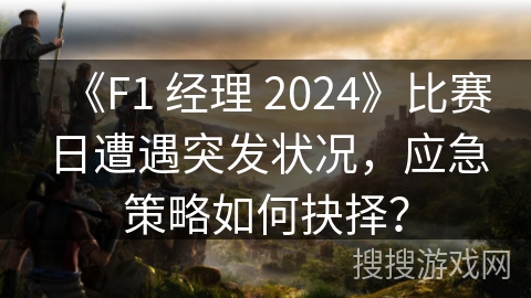 《F1 经理 2024》比赛日遭遇突发状况，应急策略如何抉择？