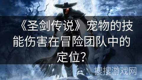 《圣剑传说》宠物的技能伤害在冒险团队中的定位？
