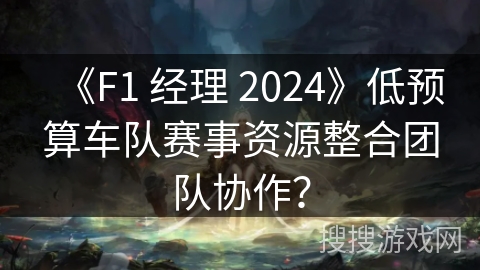 《F1 经理 2024》低预算车队赛事资源整合团队协作？